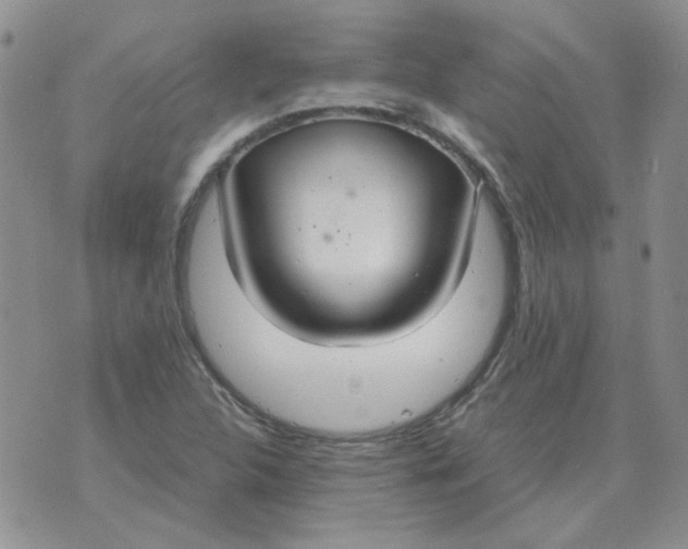 X0000070431312200606302116