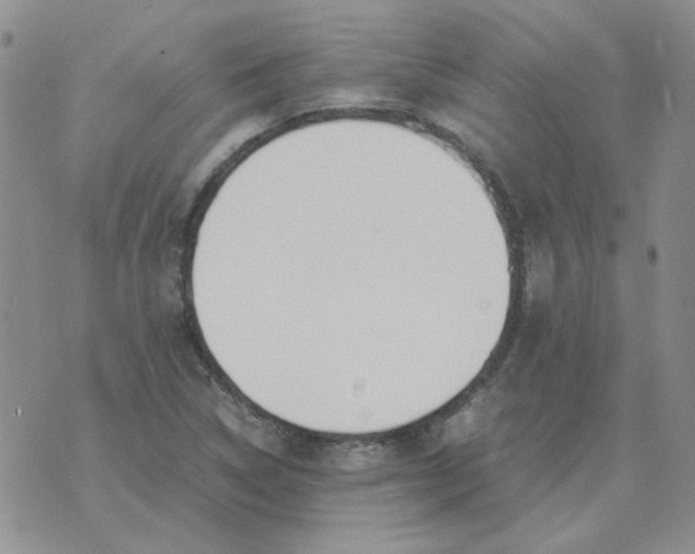 X0000070431314200606302116