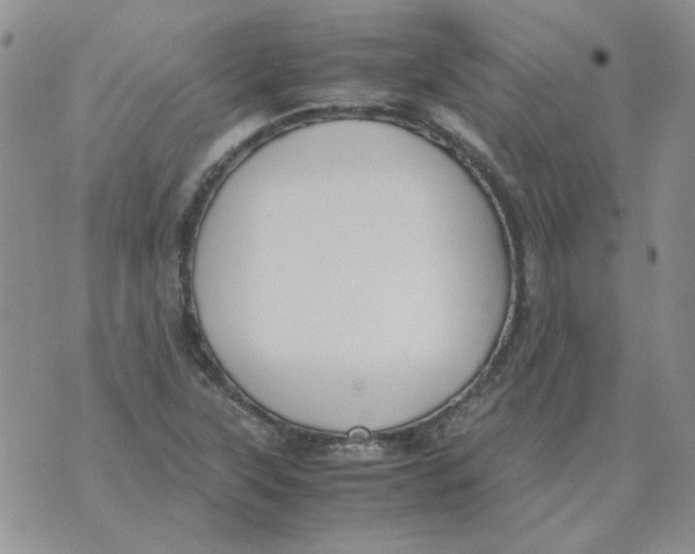 X0000070431315200606302116