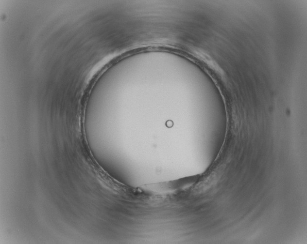 X0000070431316200606302116