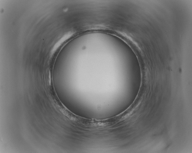 X0000070431317200606302116