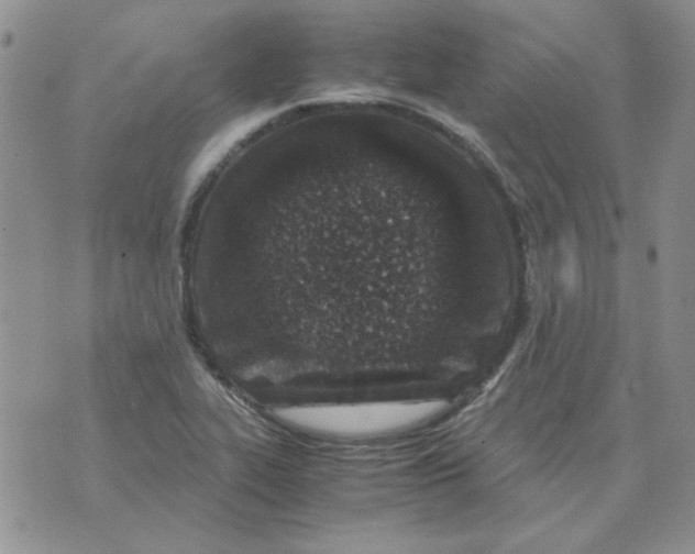 X0000070431319200606302116