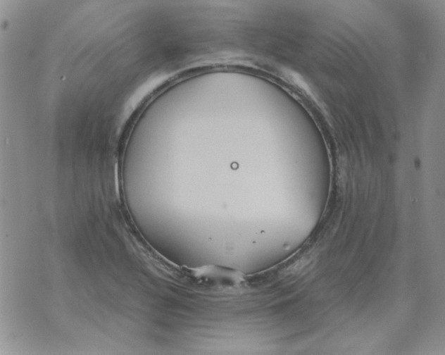 X0000070431320200606302116