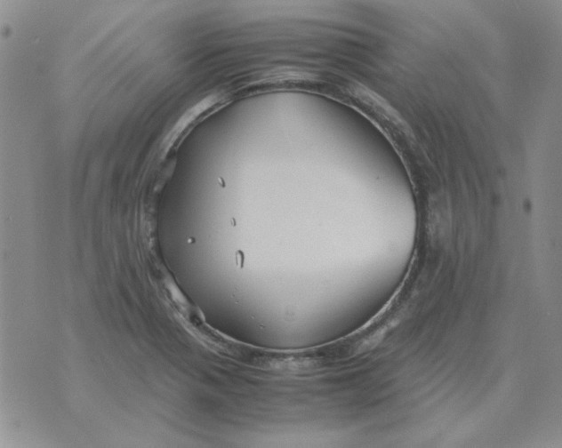 X0000070431321200606302116