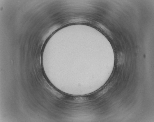 X0000070431322200606302116