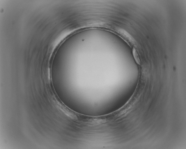 X0000070431324200606302116