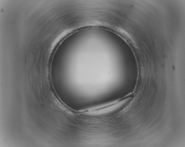 X0000070431326200606302116