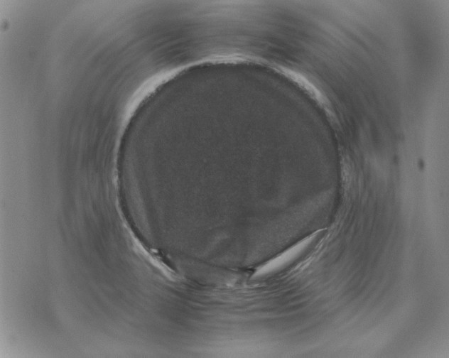 X0000070431327200606302116