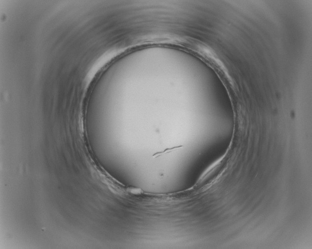 X0000070431328200606302116