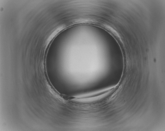 X0000070431330200606302116