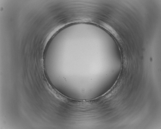 X0000070431332200606302116