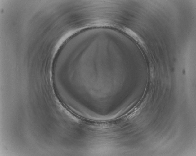 X0000070431334200606302116