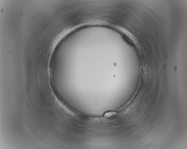 X0000070431335200606302116