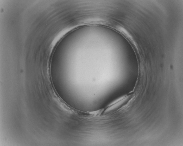 X0000070431336200606302116