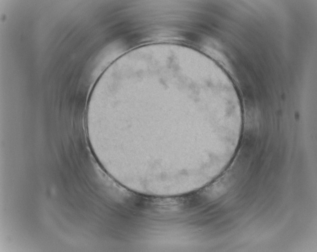 X0000070431338200606302117