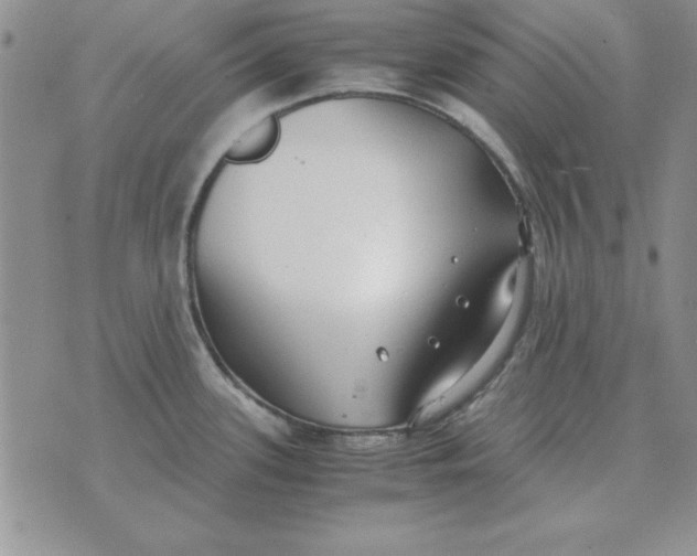 X0000070431339200606302117