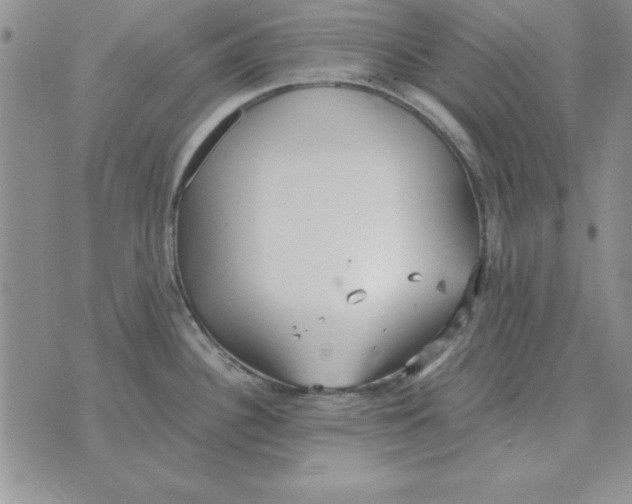 X0000070431340200606302117