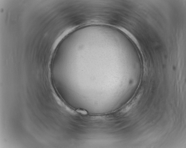 X0000070431341200606302117