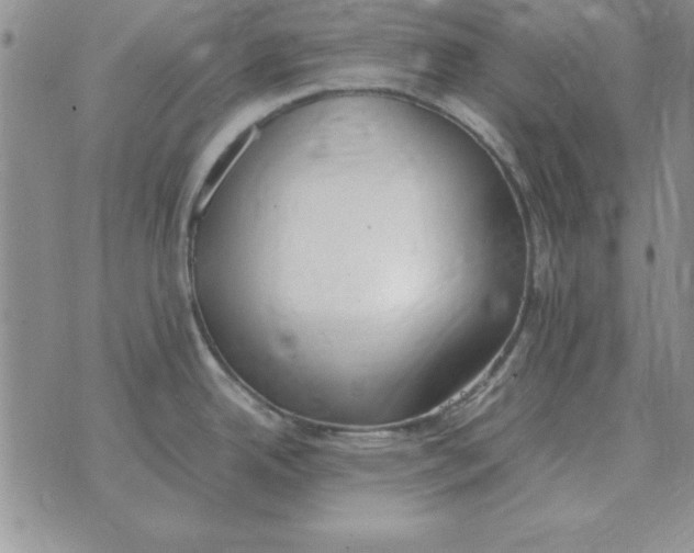 X0000070431342200606302117