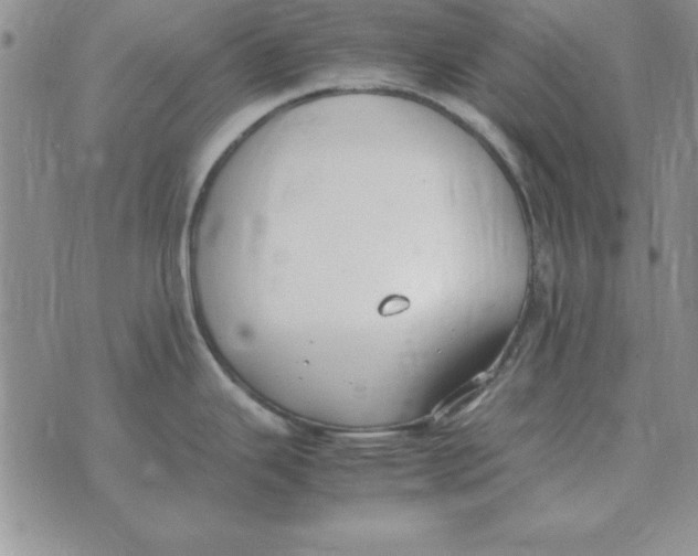 X0000070431343200606302117