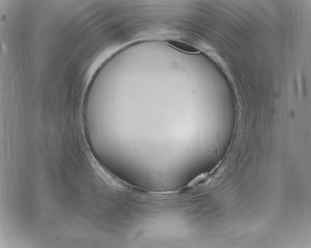 X0000070431344200606302117