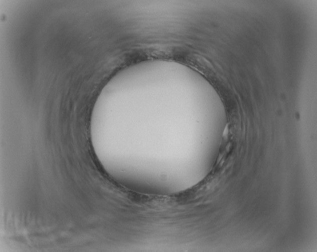 X0000070431345200606302116