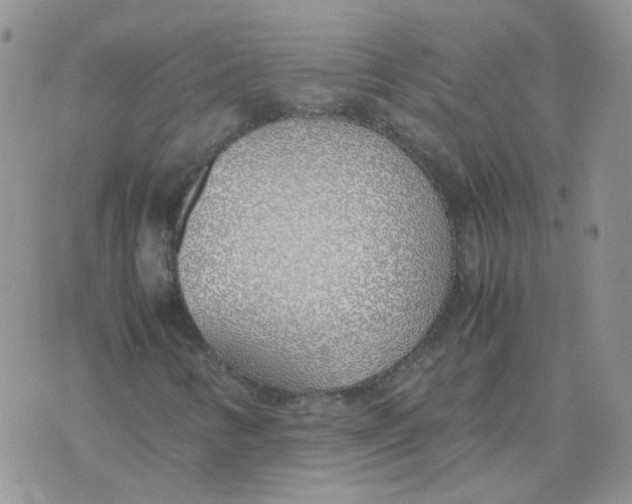 X0000070431346200606302116