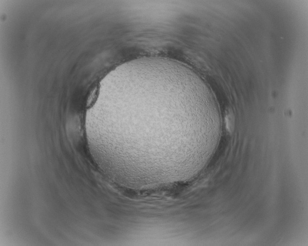 X0000070431347200606302116