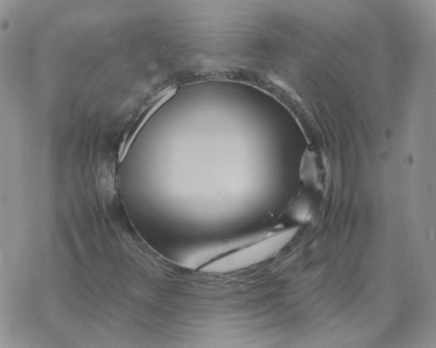 X0000070431348200606302116