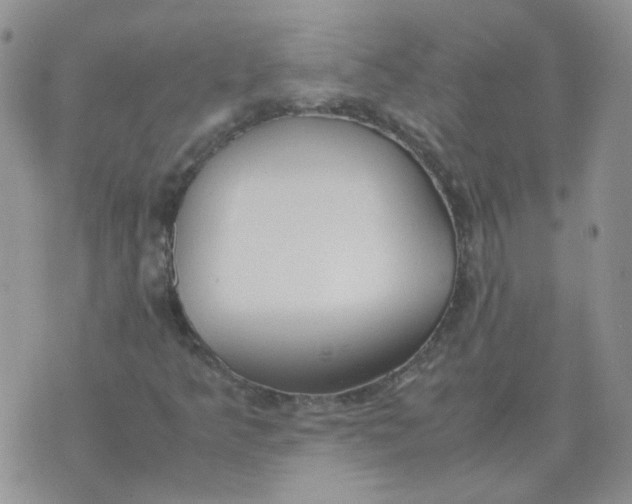 X0000070431349200606302116