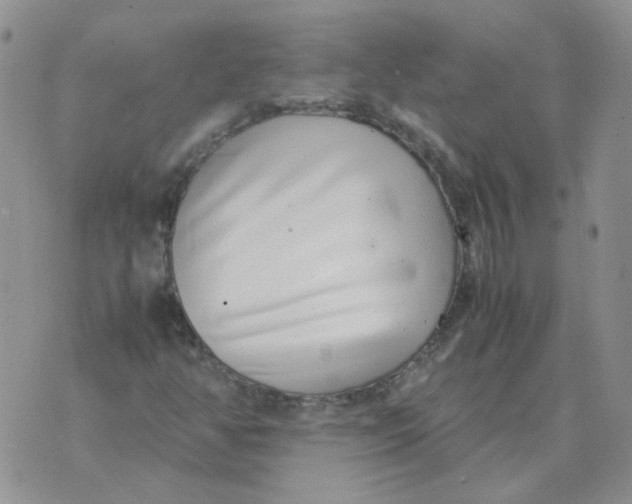 X0000070431350200606302116