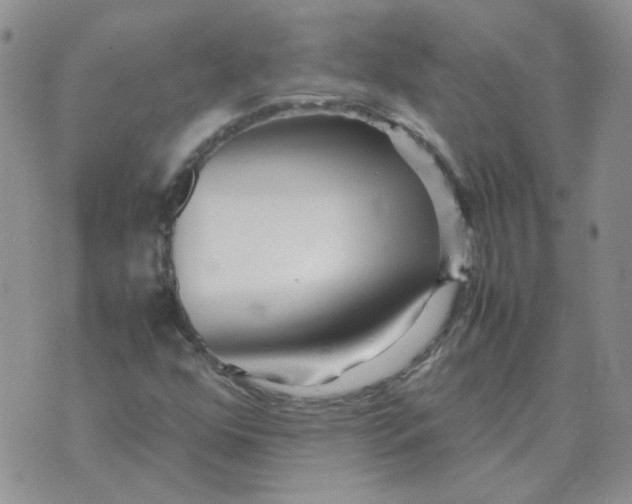 X0000070431352200606302116