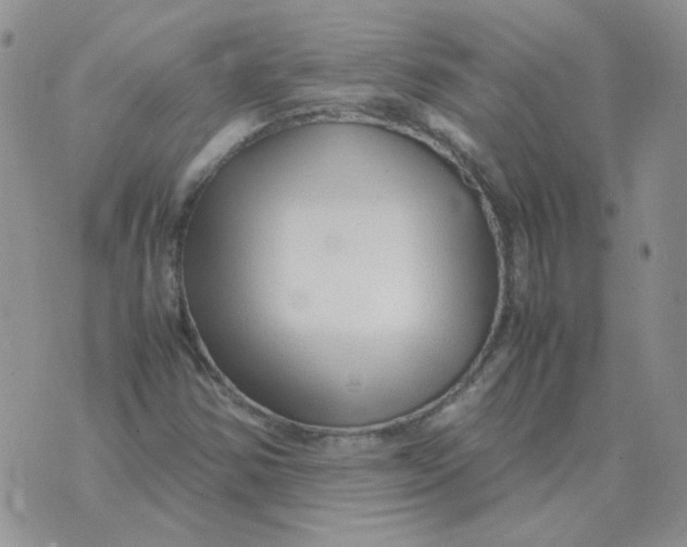 X0000070431354200606302116