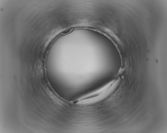 X0000070431356200606302116