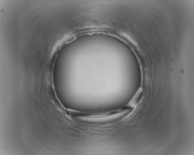 X0000070431357200606302116