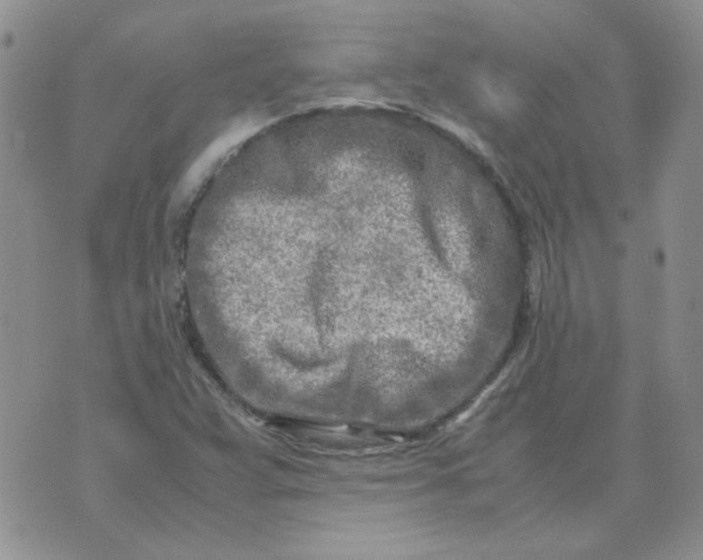 X0000070431359200606302116