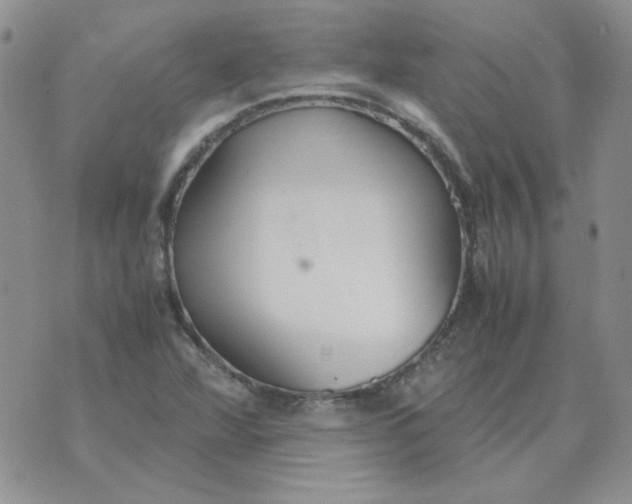 X0000070431360200606302116