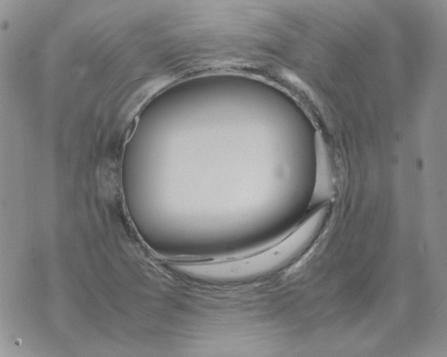 X0000070431361200606302116