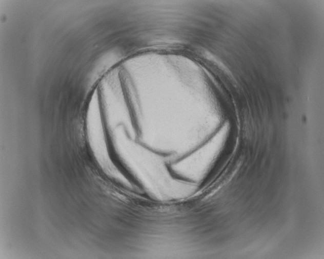 X0000070431362200606302116