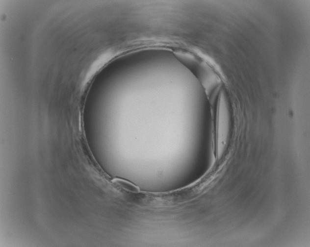 X0000070431365200606302116