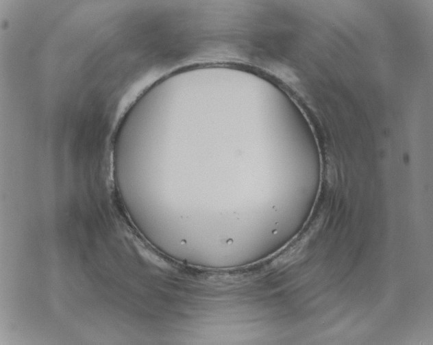 X0000070431366200606302116