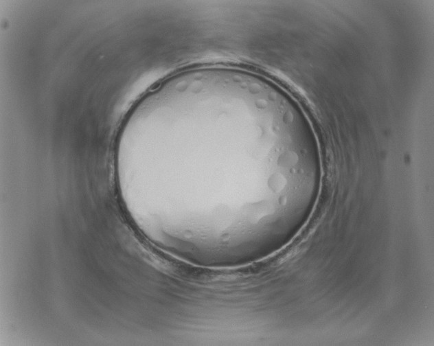 X0000070431367200606302115