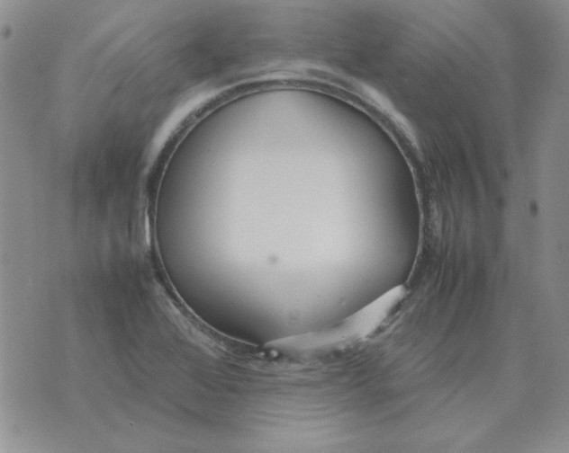 X0000070431368200606302115