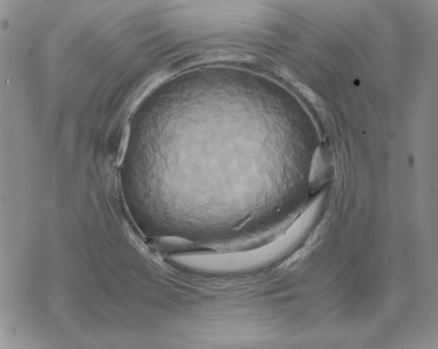 X0000070431369200606302115