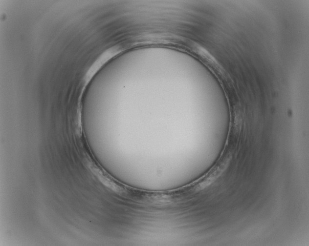 X0000070431370200606302115