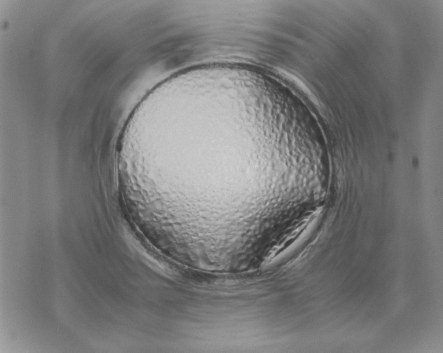 X0000070431371200606302115