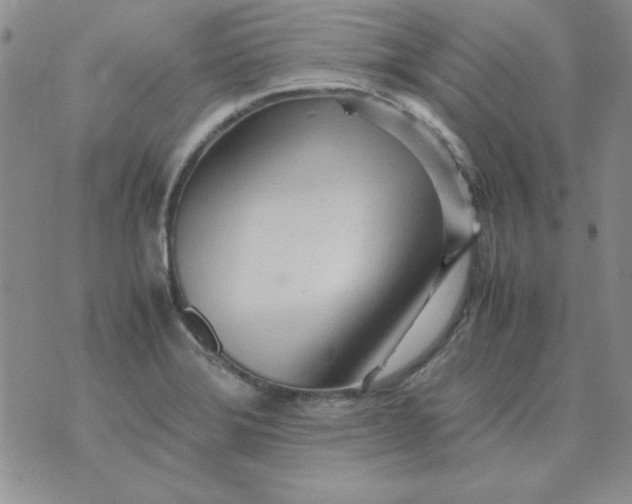 X0000070431372200606302115