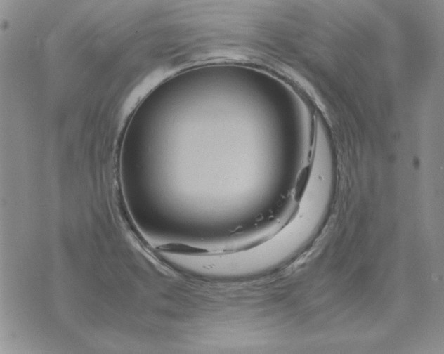 X0000070431373200606302115