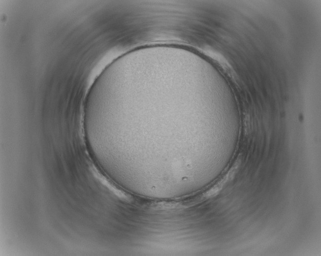 X0000070431374200606302115