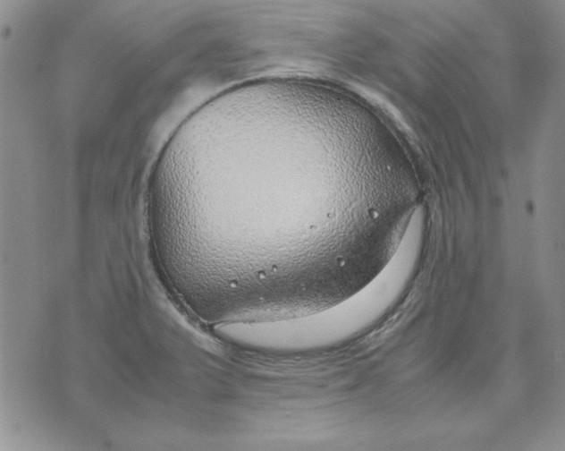 X0000070431375200606302115